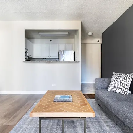 Apartment River N 1br W Gym Wd Nr Magnificent Mile Chi-161 *