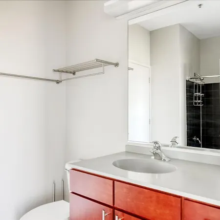 Apartment South Loop 2br W Gym Roof Nr Grant Park Chi-770