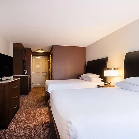 Hilton Garden Downtown/magnificent Mile Hotel