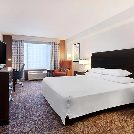 Hilton Garden Downtown/magnificent Mile Hotel 3*