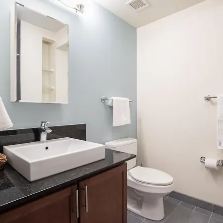 Loop 1br W Gym Pool Nr Financial District Chi-232 Chicago