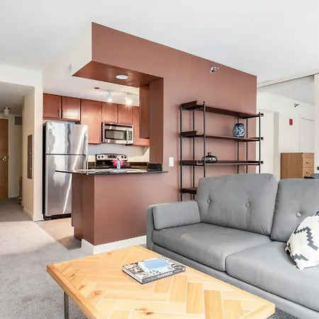 Loop 1br W Gym Pool Wd Nr Financial District Chi-238 Apartment