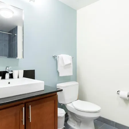 Apartment Loop 1br W Pool Gym Nr Financial District Chi-268 *