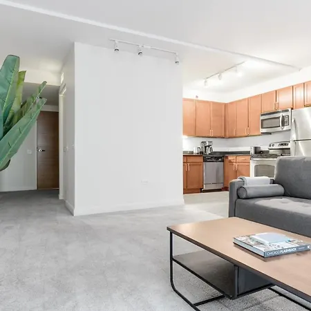 Loop 1br W Pool Gym Nr Financial District Chi-268