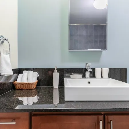 Loop 1br W Gym Pool Wd Nr Financial District Chi-238 Apartment