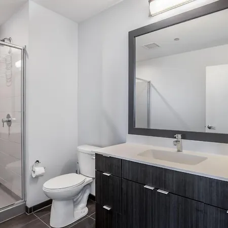 South Loop 1br W Gym Game Nr Schools Chi-988 Apartment Chicago