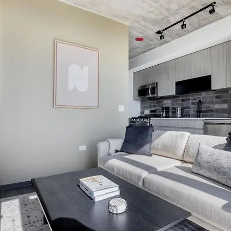 West Loop Jr 1br W Rooftop Dog Run Nr I-90 Chi-967