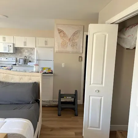 Apartment Luxury King Bed • Remodeled Safe Chicago Condo *