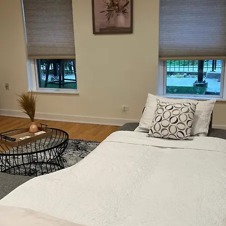 Apartment Vibrant W/ Comforting Vibes Chicago