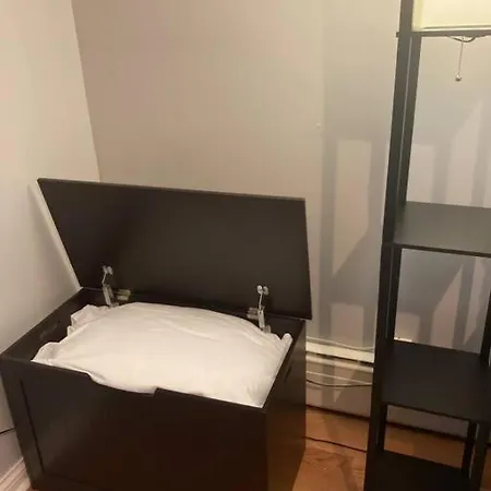 Spacious 2-bedroom Open-concept Apartment Chicago