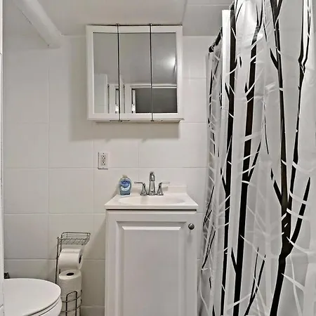 Cozy North Side Oasis Chicago
