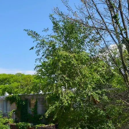Prime Location W/ Historic Charm Near Shops &parks *