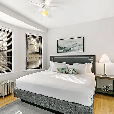Apartment Beautiful 1br Brick In Historic Hyde Park *