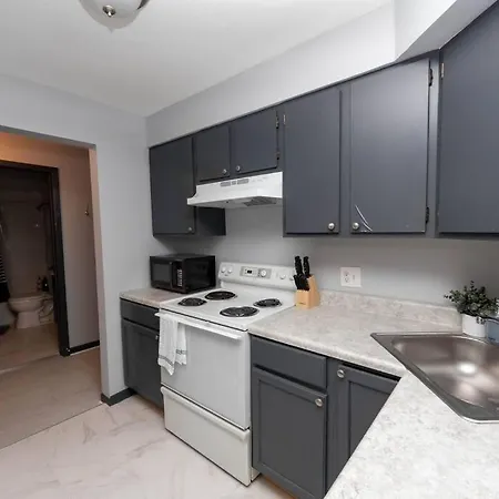 Discover North Side From Modern Apartment *