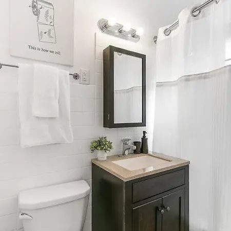 Beautiful 1br Brick In Historic Hyde Park Chicago