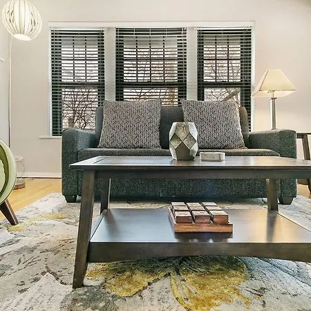 Apartment Beautiful 1br Brick In Historic Hyde Park Chicago