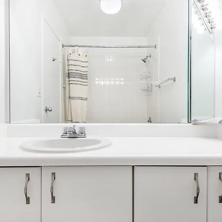 Streeterville 1br W Gym Pool Nr Navy Pier Chi-409