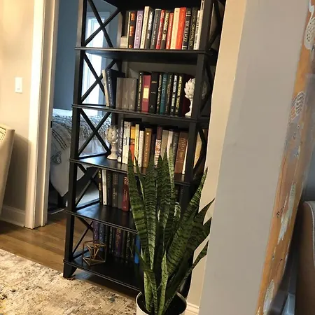 Wicker Park Designers Dream *