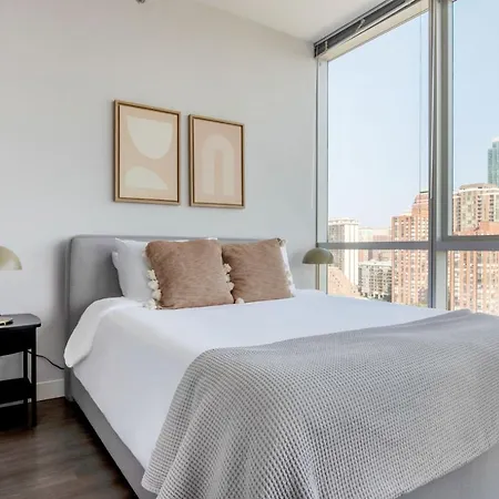 Apartment South Loop 2br W Jacuzzi Rooftop Nr Colleges Chi-992