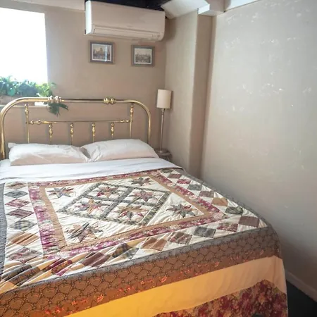 Apartment Bootlegger House Sleeps 10-20 Free Tv & Parking Chicago