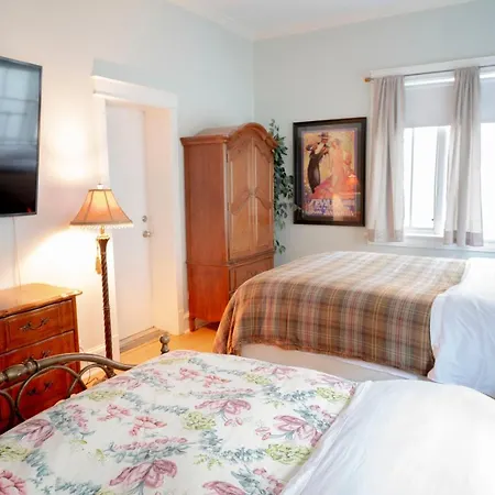 Apartment Bootlegger House Sleeps 10-20 Free Tv & Parking Chicago