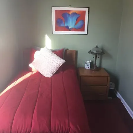 Away From In Pilsen!! 3 Bedrooms! Apartment Chicago