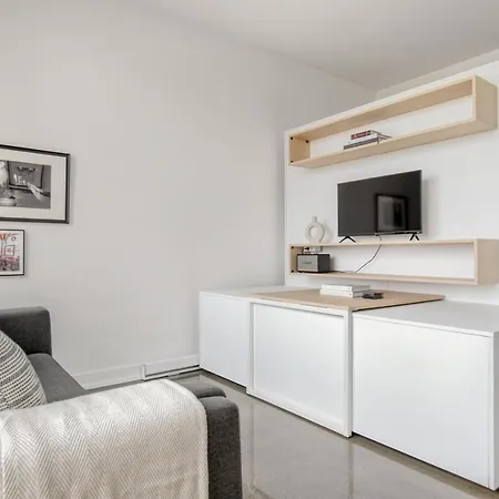 Apartment Pilsen W Rooftop Dog Run Gym Nr L Chi-993