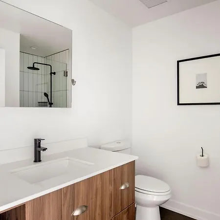 Apartment Pilsen W Rooftop Dog Run Gym Nr L Chi-993 Chicago