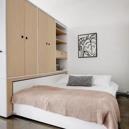 Apartment Pilsen W Rooftop Dog Run Gym Nr L Chi-993 *