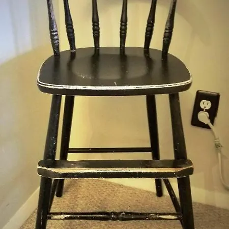 Well-appointed Cozy Portage Park Apt, Dogs, Kids, Free Parking, 420 Compliant