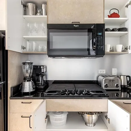 Apartment Lincoln Park W Wd Nr L New Chi-305 *