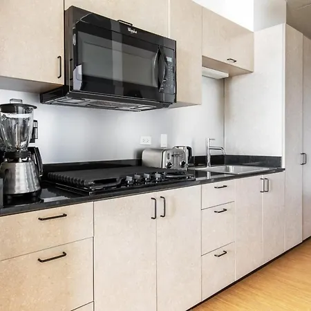 Lincoln Park W Wd Nr L New Chi-305 Apartment *