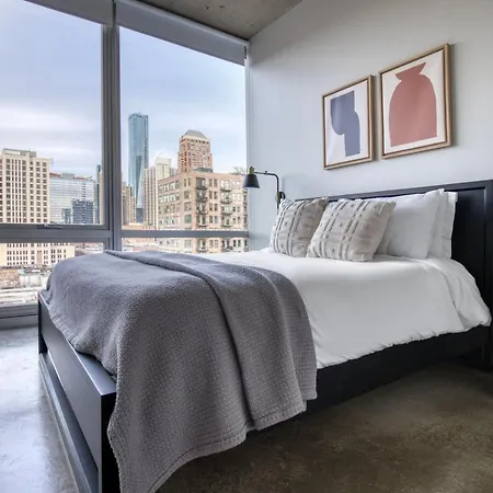 Apartment South Loop 2br W Rooftop 3 Blocks To Grant Park Chi-1018 Chicago