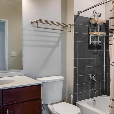 South Loop 2br W Rooftop 3 Blocks To Grant Park Chi-1018 Apartment