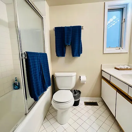 Designer Themed 4 Bedroom In Location With Patio And Fireplace Chicago