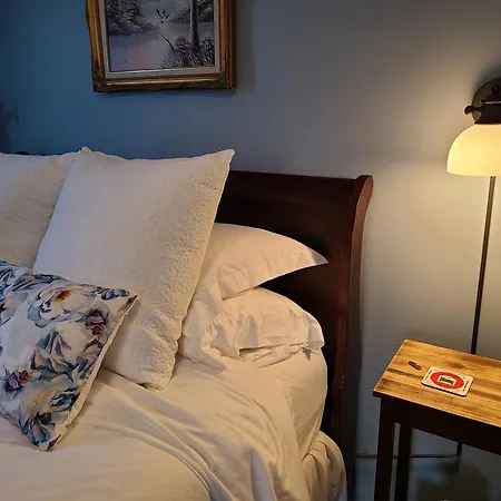 Apartment Well-appointed Cozy Portage Park Apt, Dogs, Kids, Free Parking, 420 Compliant