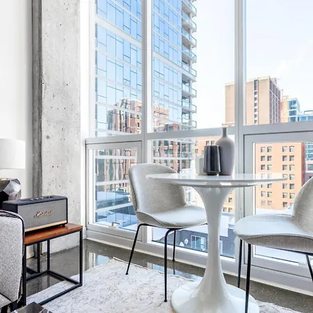 River N 1br W Gym Pool Nr L Stop Chi-359 Apartment
