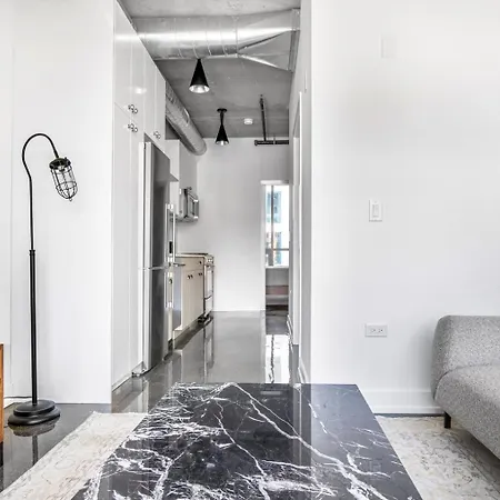 River N 1br W Gym Pool Nr L Stop Chi-359 Apartment *