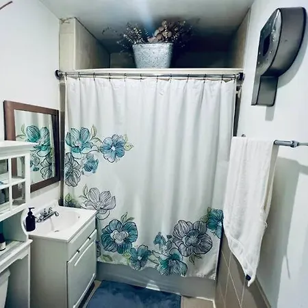 Homey And Private 1 Bed Located 15min To City Apartment Chicago