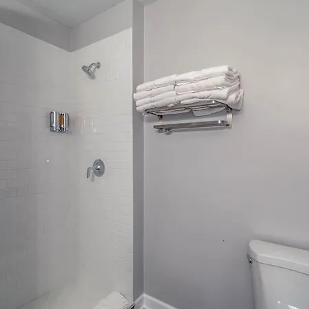3 Flat Building Downtown - With Private Patios Apartment *