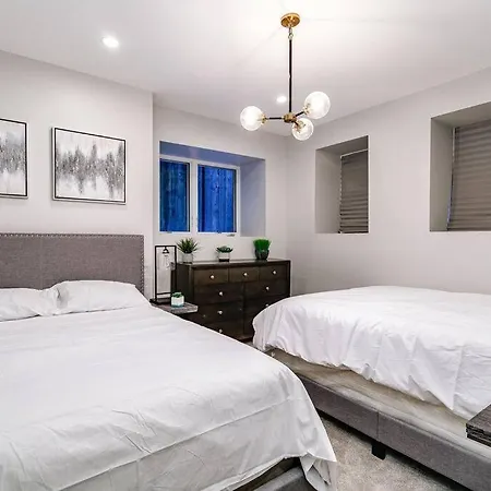 Immaculate Brand New Downtown
