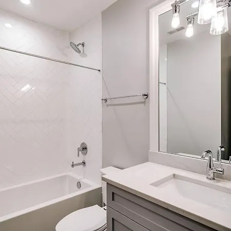 Immaculate Brand New Downtown Chicago
