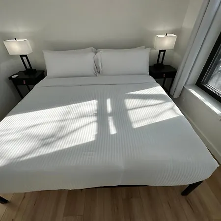 Luxe Spacious Sfh In Bucktown With Secure Parking Holiday home *