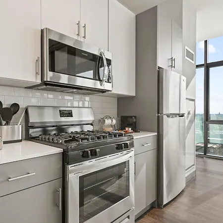 Fulbrix Bright Designer With West Loop Views Chicago
