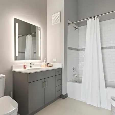 Fulbrix Bright Designer With West Loop Views Chicago