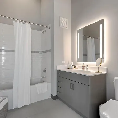 Fulbrix Bright Designer With West Loop Views Chicago