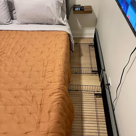 First Floor In Apartment