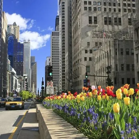Beautiful Magnificent Mile Street That Sleeps 8 Guests Apartment