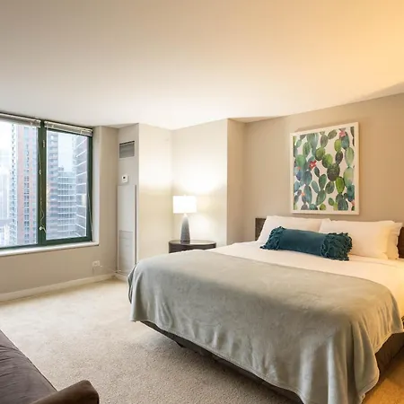Apartment Captivating With Pier Views, Pool And Gym Chicago