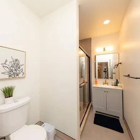 Spacious 5br Luxury Perfect For Group Sleeps 12 Near Mccormick Place, Grant Park And Soldier Field Chicago